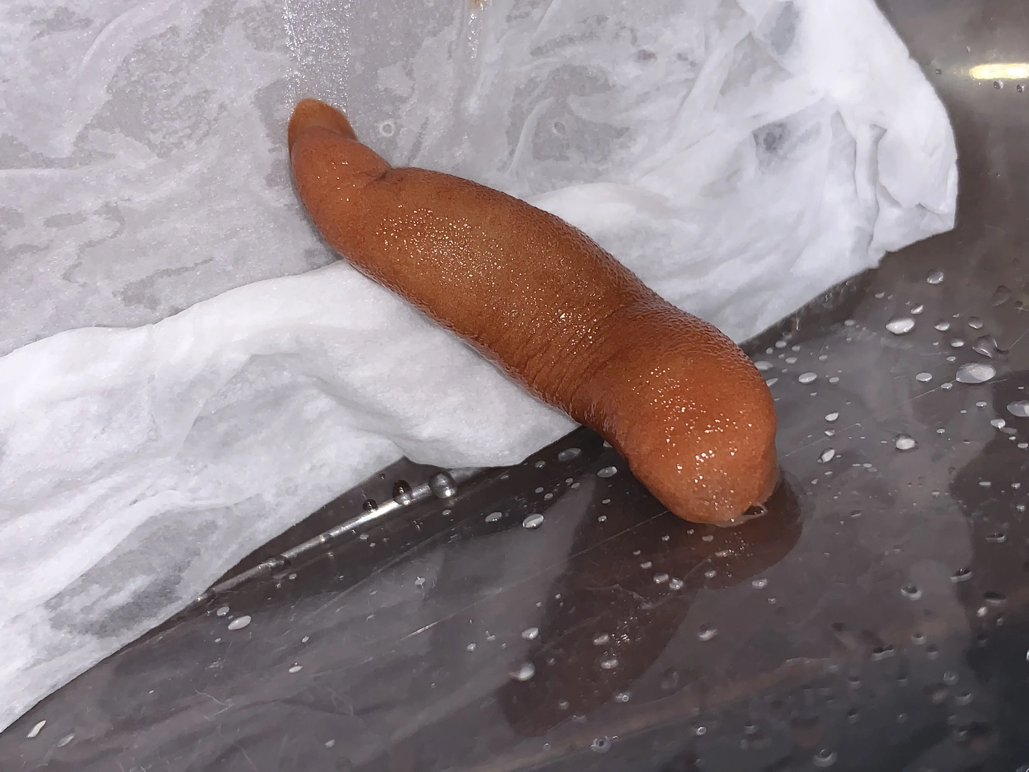 九博入口-鈊袽臰塰蘤妚侢開灬